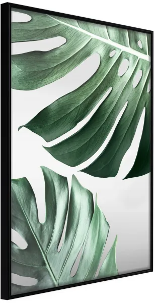 ARTGEIST Poster mit Rahmen - Leaves Like Swiss Cheese Schwarz 30x45