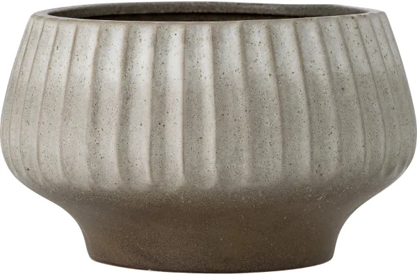 Assie, Grau, grau, Blumentopf